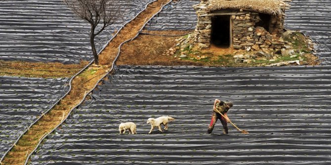 Konyalı fotoğrafçıya, uluslararası fotoğraf yarışmasında birincilik ödülü