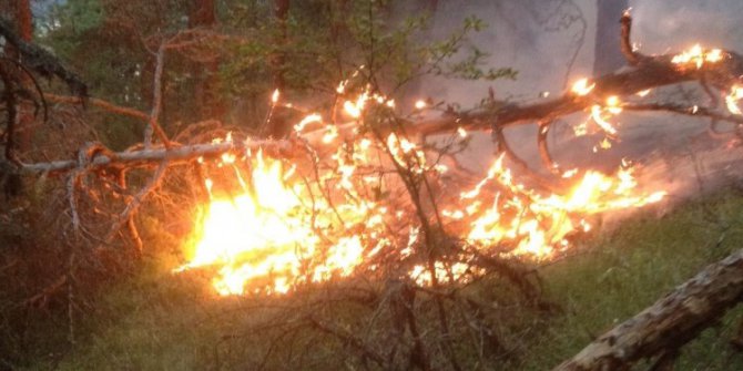 Yıldırım düşmesi sonucu ormanlık alanlarda yangınlar çıktı