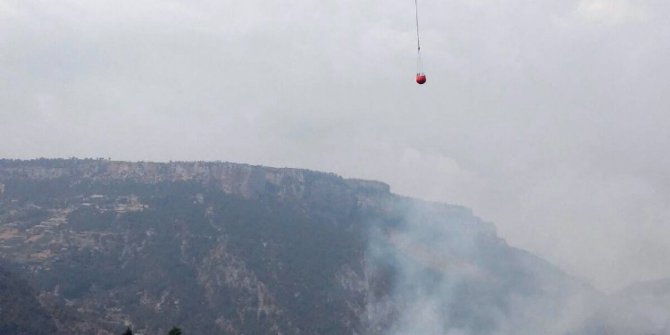 Mersin’de orman yangını