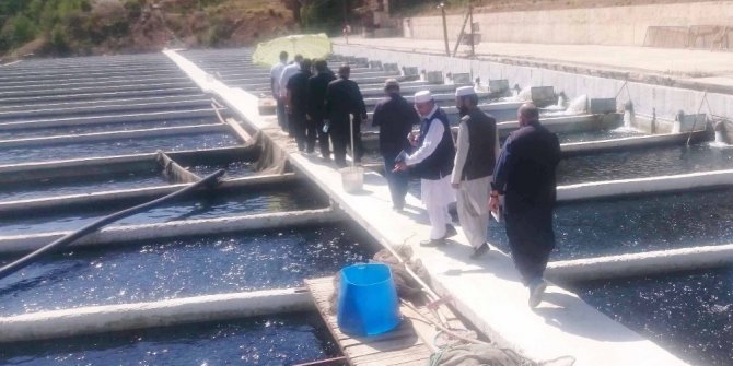Türkiye’nin balık yetiştiriciliği tecrübesi kardeş ülke Pakistan’a aktarılıyor