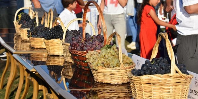 3. Trakya Bağ Bozumu ve Ekoloji Festivali kapılarını açıyor