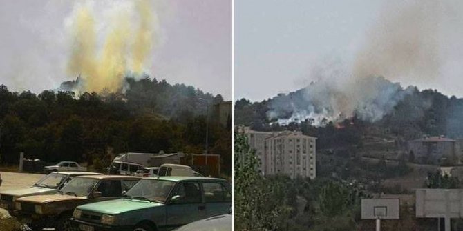 Bozüyük’te orman yangını