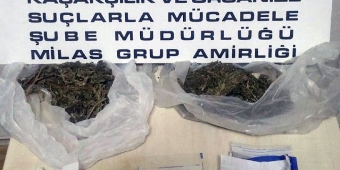 Milas’taki uyuşturucu operasyonunda 1 tutuklama