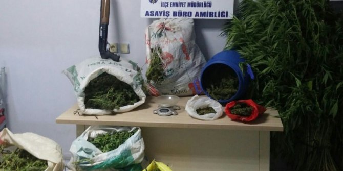 İzmir polisinden büyük esrar operasyonu