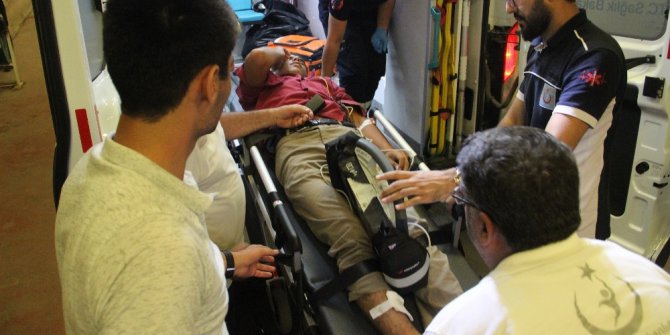 Yılanın ısırdığı çocuk hastanelik oldu