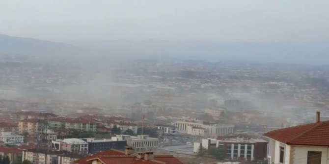 Sakarya’da şiddetli rüzgar ağaçları yerinden söktü