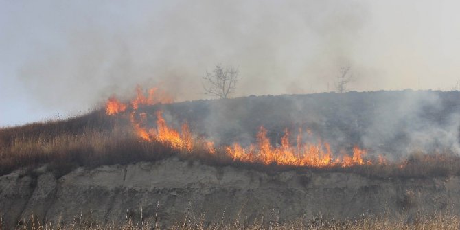 Piknik ateşi ormanı yaktı