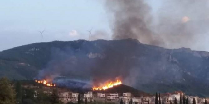 Aydın’da 3 ayrı yerde orman yangını