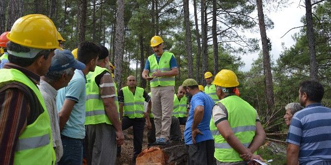 Orman Bölge Müdürlüğü, Aladağ’da ‘Üretim Tatbikatı’ Yaptı