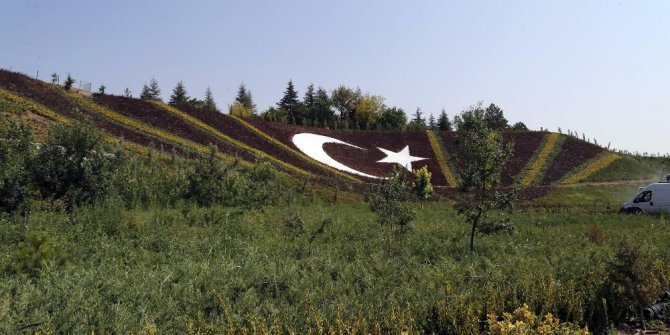 Başkan Duruay ağaçlandırma çalışmalarını yerinde inceledi