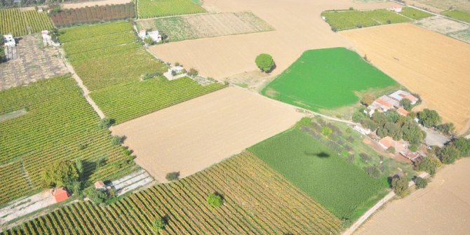 Türkiye’de tarım alanları azaldı