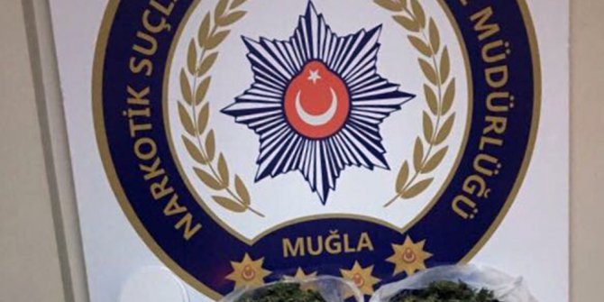 Zehir tacirlerine operasyon