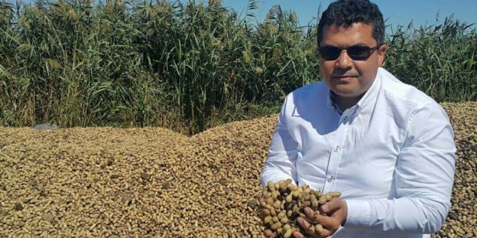 MHP’li Ersoy: "Yer fıstığı destekleme kapsamına alınmalı"