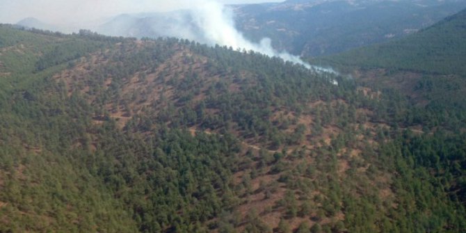 Balıkesir’de orman yangını