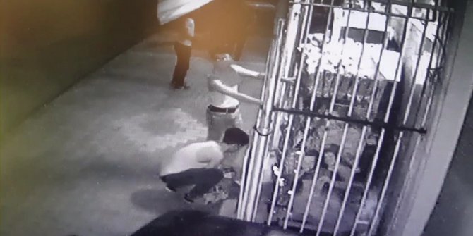 6 kişi marketten cips ve kola çaldı