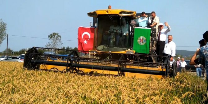 Bafra Ovası 2. Çeltik Hasat Şenliği