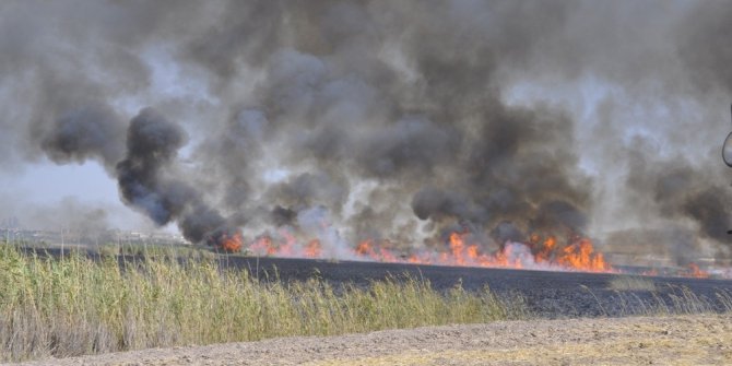 Mogan Gölü’nde sazlık alanlar yandı