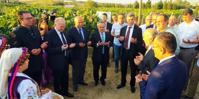 “3. Trakya Bağ Bozumu ve Ekoloji Festivali” başladı