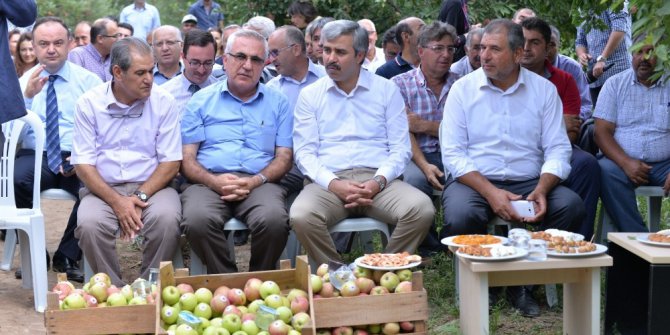 Zirai Mücadelede, ilaç yerine faydalı böcekler kullanılacak