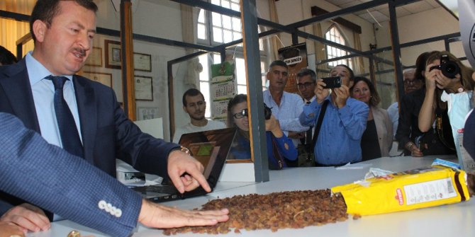 TMO’dan çekirdeksiz kuru üzüm alımı