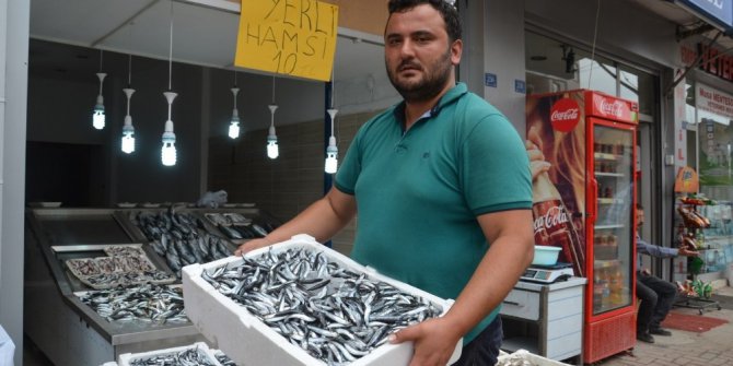 Yerli hamsi 10 TL