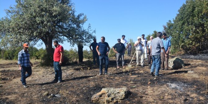 Sivas’ta ormanlık alanda yangın