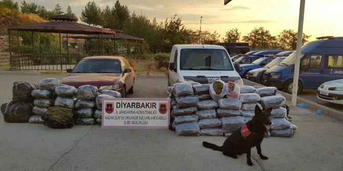 Diyarbakır’da 345 Kilogram Esrar Ele Geçirildi