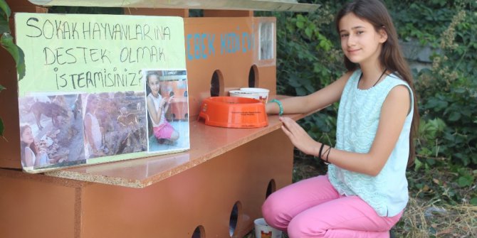 11 yaşında sokaklarda keman çalarak kedi evi yaptırdı