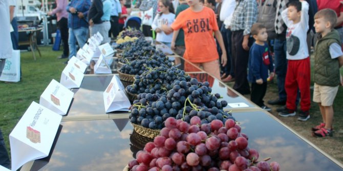 3. Trakya Bağ Bozumu Festivali’nde üzüm güzeli seçildi