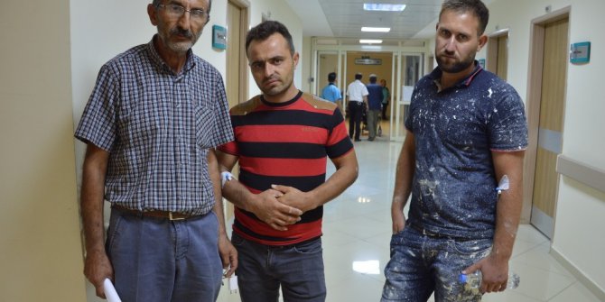 Yedikleri tavuk dönerden zehirlendiler