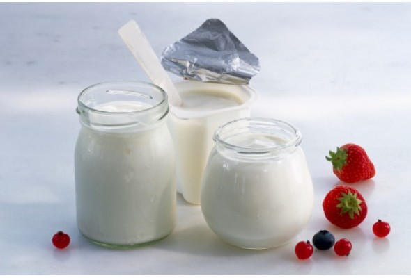 PROBİYOTİK VE PREBİYOTİK NEDİR?