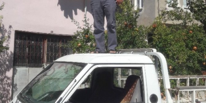 Telefonun çekmesi için yüksek yer arıyorlar