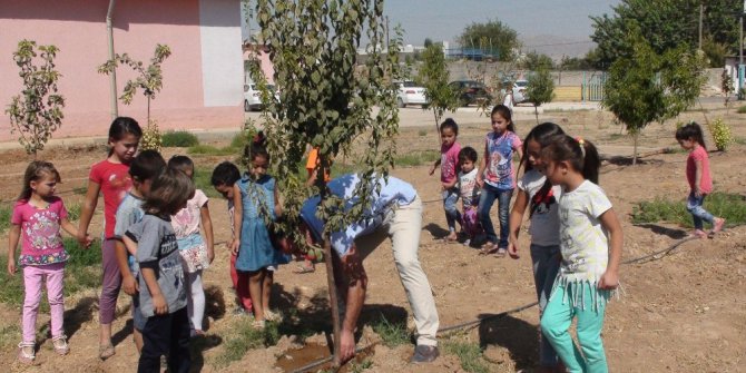 Okulun bahçesini meyve bahçesine dönüştürdüler