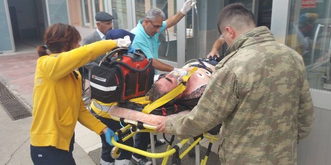 Ağaç Budarken Yüksek Gerilime Kapıldı