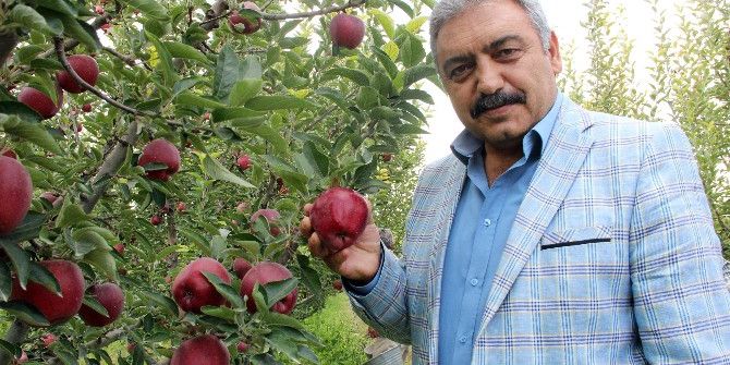 Karaman’da Elma Hasadı Buruk Başladı