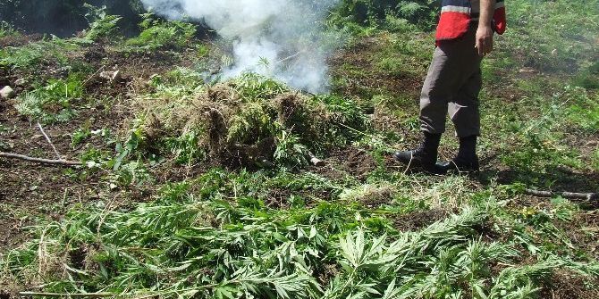 Turşu Bidonunda 2 Kilo Esrar Ele Geçirildi