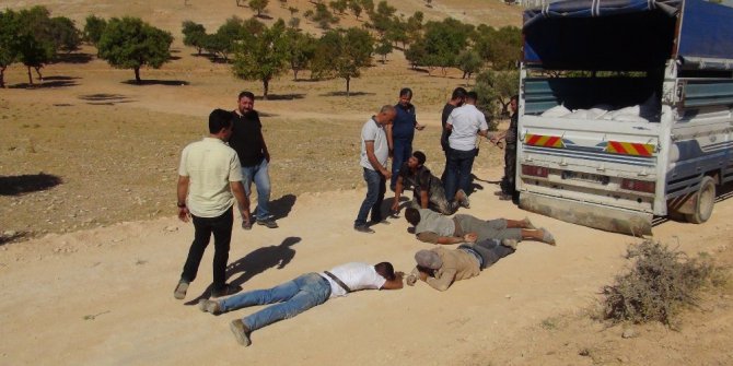 2,5 ton üzümü çalan dolandırıcılar suçüstü yakalandı