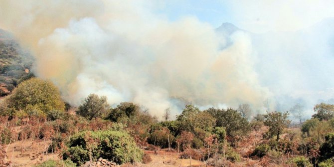 Alevler evlere 5 metre kala söndürüldü