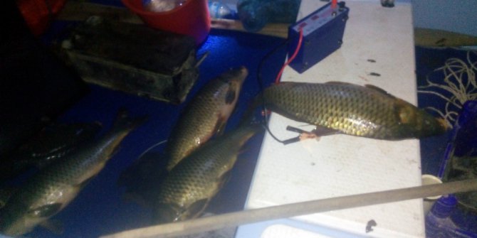 Beyşehir Gölü’nde elektroşokla avlanan 6 kişiye 27 bin 900 lira ceza