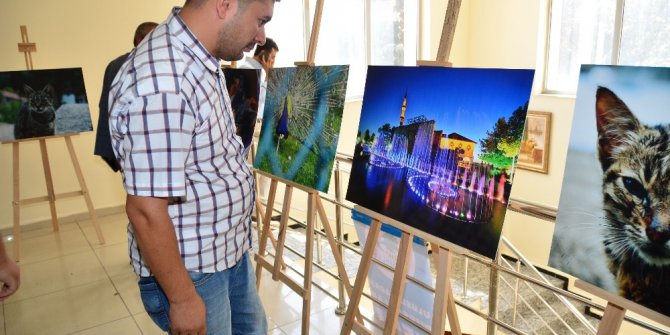 Pursaklar’da ödüllü fotoğraf yarışması