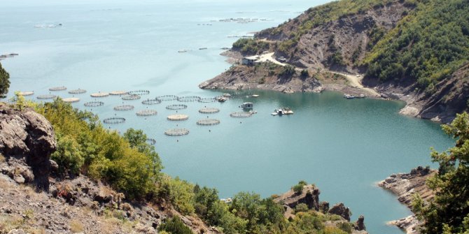 Tokat’ta yılda 5 bin ton balık üretiliyor