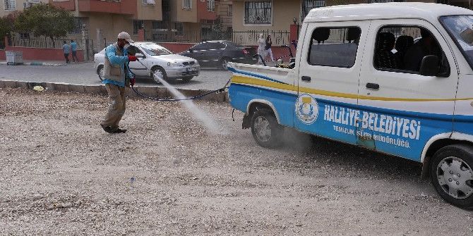 Haliliye Belediyesi’nden Kapsamlı İlaçlama Ve Temizlik Çalışması