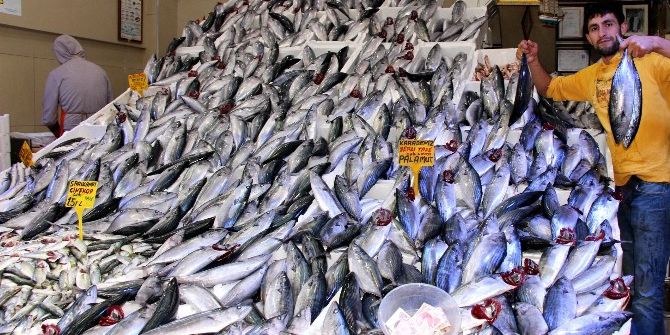 Palamut Bolluğu Balıkçıları Düşündürüyor