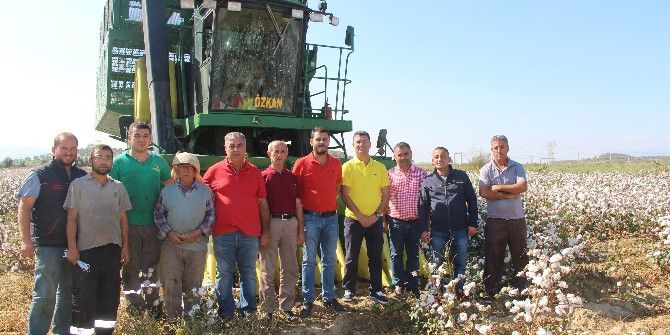 Aydın’da Beyaz Altın Hasadı Başladı