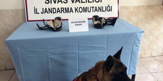 Terlikten esrar çıktı