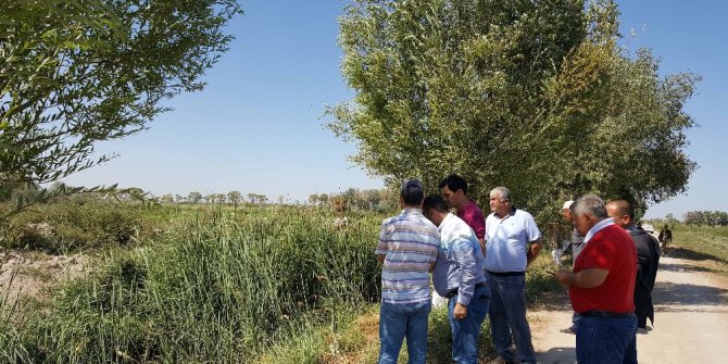 TİKA’dan, Aral Gölü civarında fidanlık ve ağaçlandırma çalışmaları