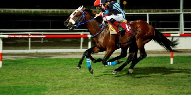 3. Ereğli Belediyesi Koşusu Adana’da düzenlendi