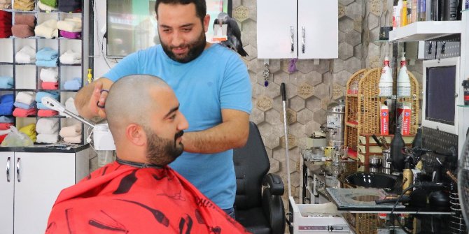 Papağan berberde çıraklık yapıyor