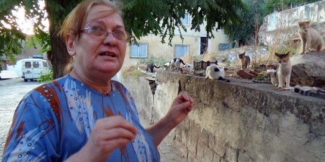 Böyle kedi sevgisi görülmedi