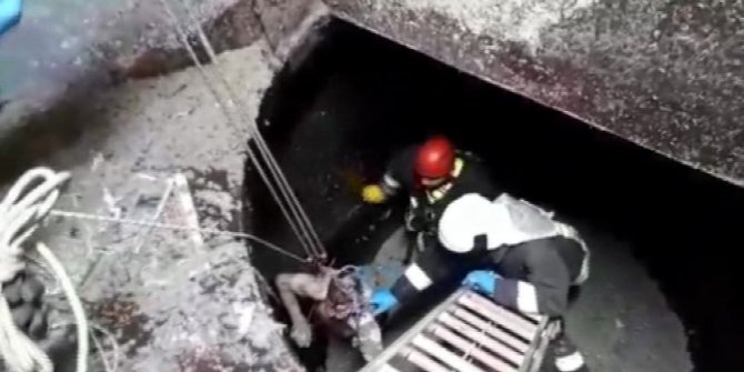 Kağıt hamur teknesine düşen işçi öldü